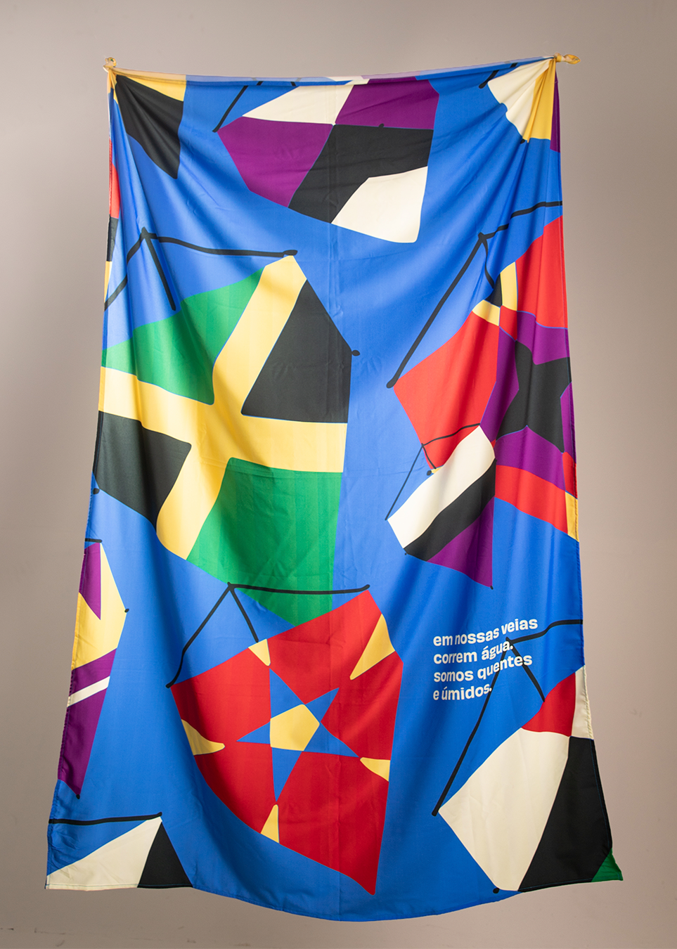 Bandeira pipas